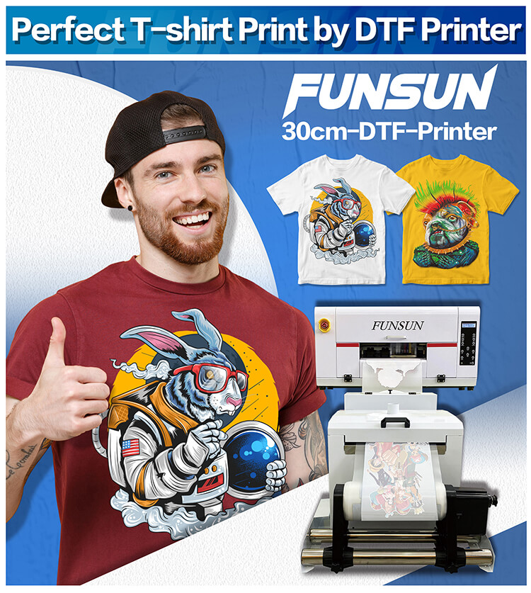 FS-300 Roll to Roll DTF Printer Pro